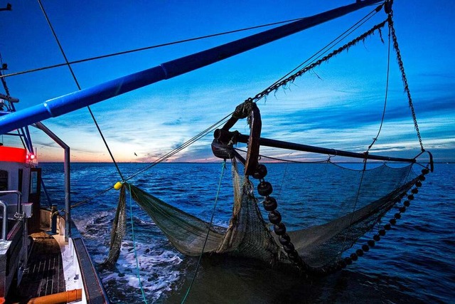 Ein groes Schleppnetz fr die Fangfahrt durch die Nordsee  | Foto: Ingo Wagner