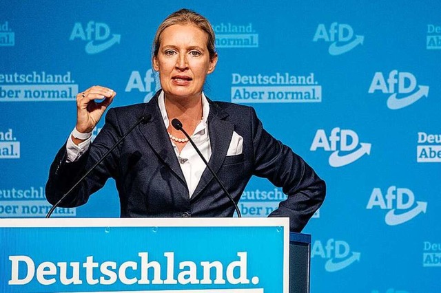 Alice Weidel beim Landesparteitag der AfD in Stuttgart vergangenes Wochenende  | Foto: Christoph Schmidt (dpa)