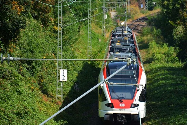 Nur ein Gleis fr die S-Bahn &#8211; d... lieber auf einen Bus-Zubringerdienst.  | Foto: Hannes Lauber