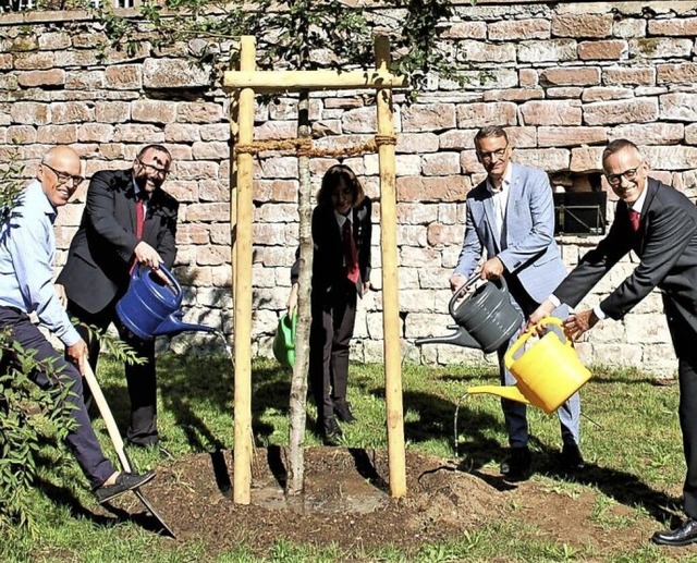 Da die frisch gepflanzte Rotbuche wurd...r Feierstunde  symbolisch angegossen.   | Foto: Wolfgang Beck