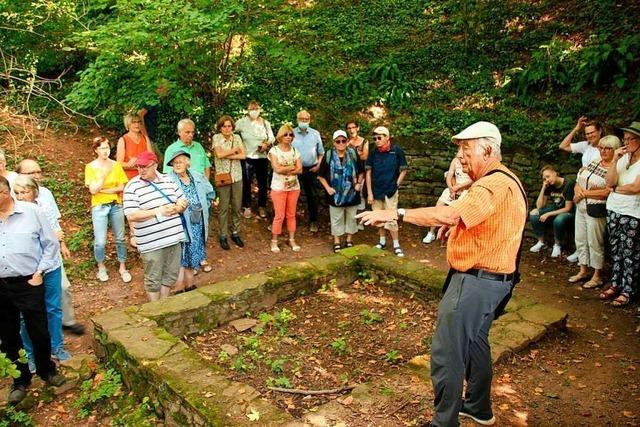 Zahlreiche Besucher im Englischen Garten in Hugstetten und im alten Dreiseithof in Eichstetten