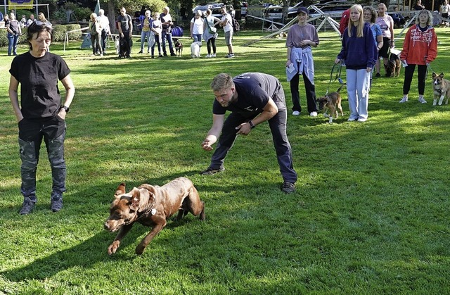 Mehr als 150 Hunde nahmen mit ihren He...des Schferhundevereins Langenau teil.  | Foto: Hans-Jrgen Hege