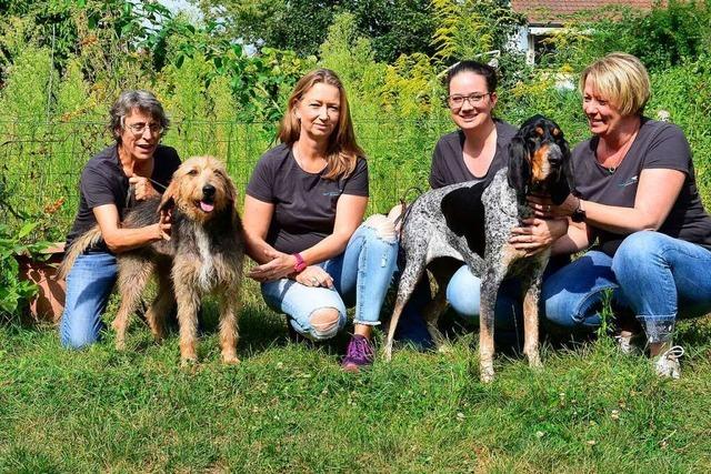 Ein Freiburger Verein widmet sich der Suche nach verschwundenen Hunden
