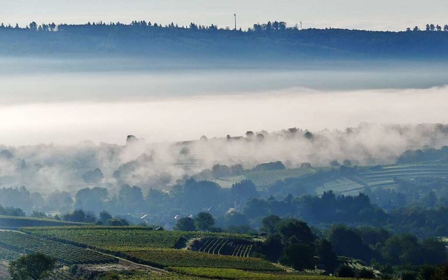 Morgennebel  | Foto: Hans Joachim Gorny