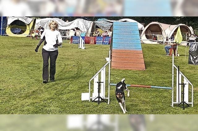 Para-Agility in Emmendingen