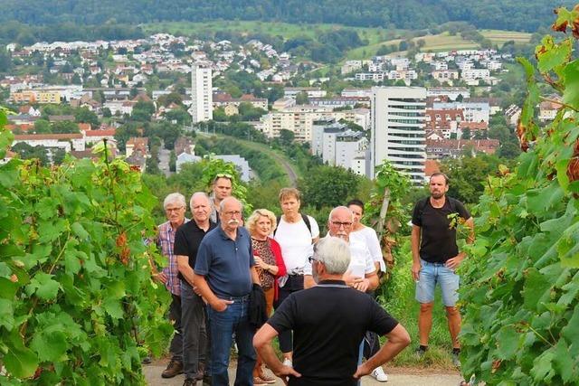 Trauben lassen Winzern im Lörracher Weinbaugebiet noch Zeit