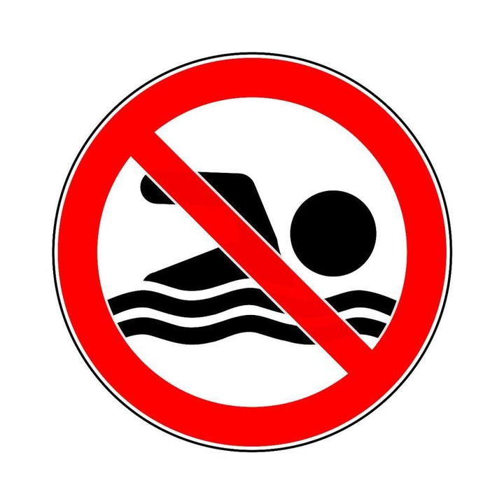 Im Schluchsee sollte derzeit besser nicht gebadet werden.  | Foto: fotohansel  (stock.adobe.com)