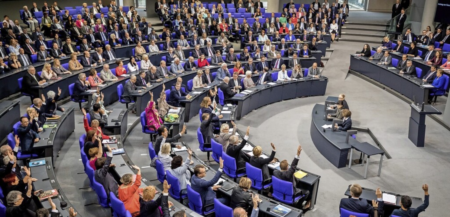 Abstimmung bei einer Plenarsitzung im Bundestag in Berlin.  | Foto: Michael Kappeler