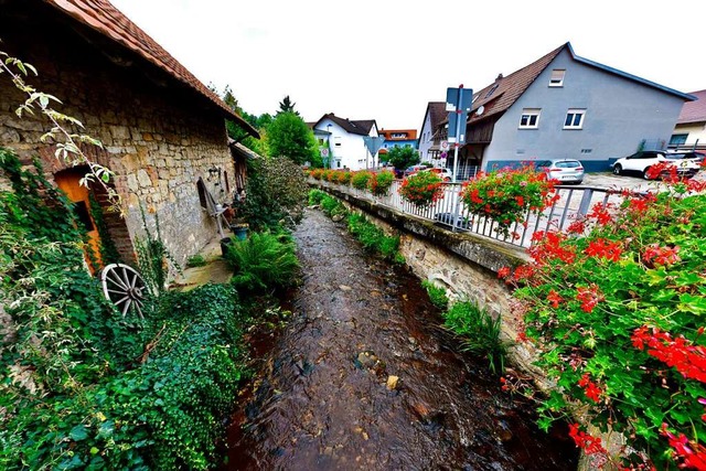 Normalerweise ist die Mhlin in Bollsc...bei Starkregen   ber die Ufer treten.  | Foto: Siegfried Gollrad