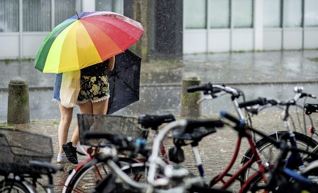 Der Juli 2021 hat den Rekord gebrochen...66 mehr Regen in einem Monat gefallen.  | Foto: Hauke-Christian Dittrich (dpa)