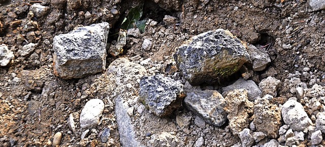 Die Ablagerungen im Kleinen Wiesental beschftigen die BZ-Leser.  | Foto: Nicolai Kapitz