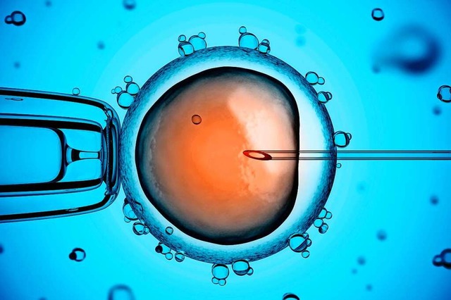 Bei der Icsi wird ein Spermium gezielt in die Eizelle injiziert.  | Foto: koya979  (stock.adobe.com)