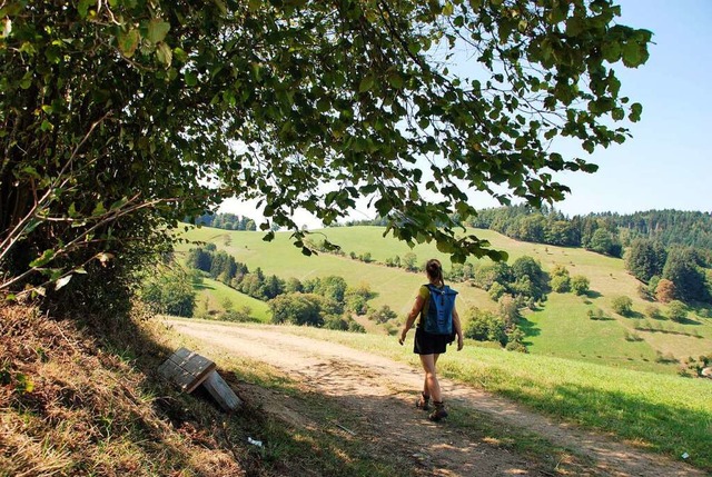 Am Gummeck: Blick auf die herrlichen Weiden von Fhrental  | Foto: Silke Kohlmann