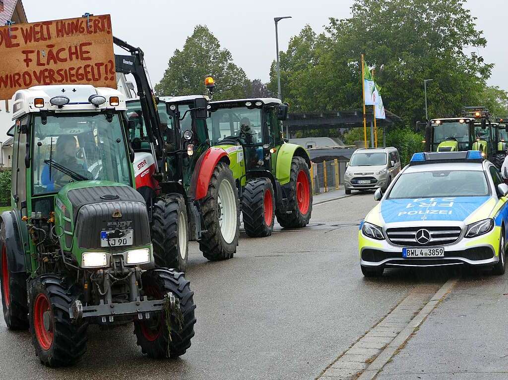 Rund 350 Menschen haben am Sonntag laut Polizeiangaben friedlich gegen den Weiterbau der Bundesstrae 31 demonstriert.