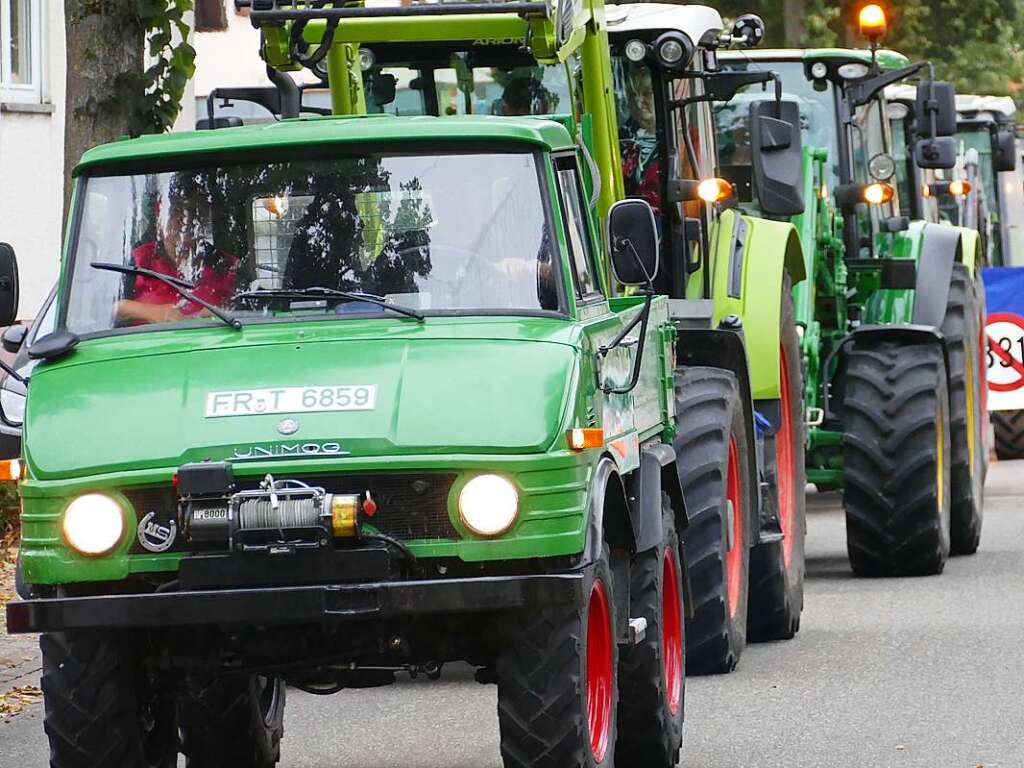 Rund 350 Menschen haben am Sonntag laut Polizeiangaben friedlich gegen den Weiterbau der Bundesstrae 31 demonstriert.