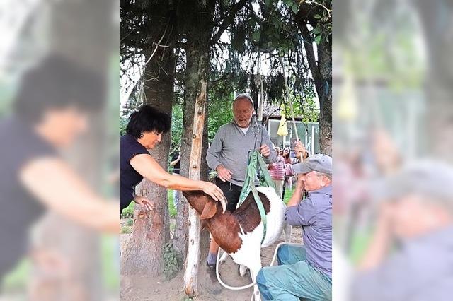 150 Besucher machen bei Segeter Dorfrallye mit