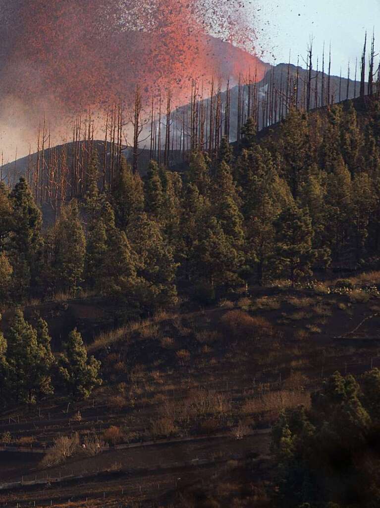 Ein Vulkanausbruch auf der kanarischen Insel La Palma sorgt fr Lavastrme und Brnde.