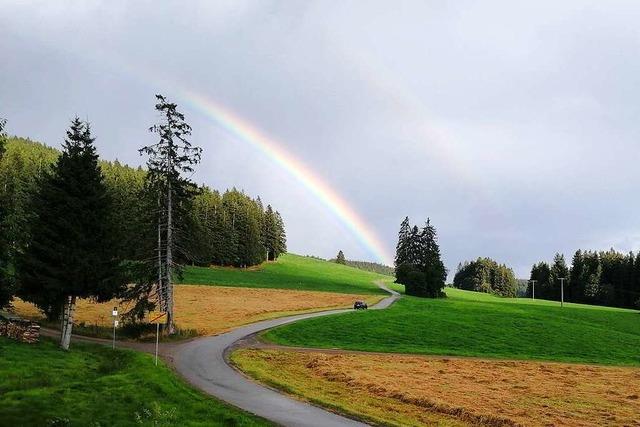 Als der Weißtannenweg bei Breitnau in einen Regenbogen mündete