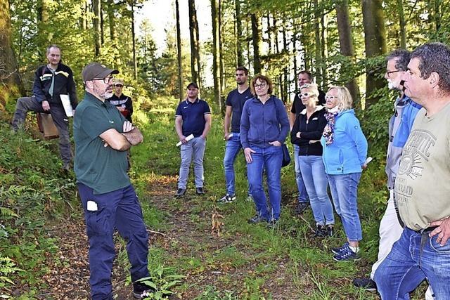 kologischer Waldbau ist konomisch angesagt