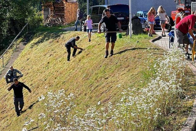 Riedicher zeigen beim Brgerhaus Einsatz in Sachen Insektenschutz