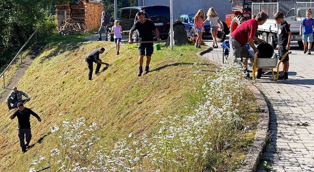 Engagement: Erblhen soll der Hang bei...t Kleinlebewesen sich ernhren knnen.  | Foto: Hans-Jrgen Hege