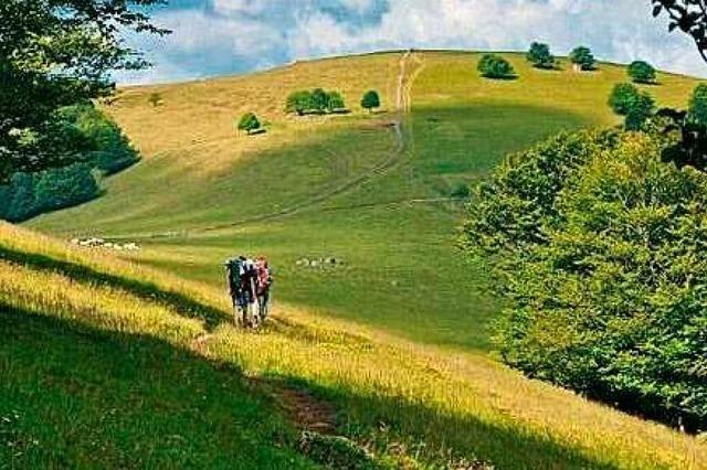 Ein Wanderfhrer mit Tagestouren in den Vogesen