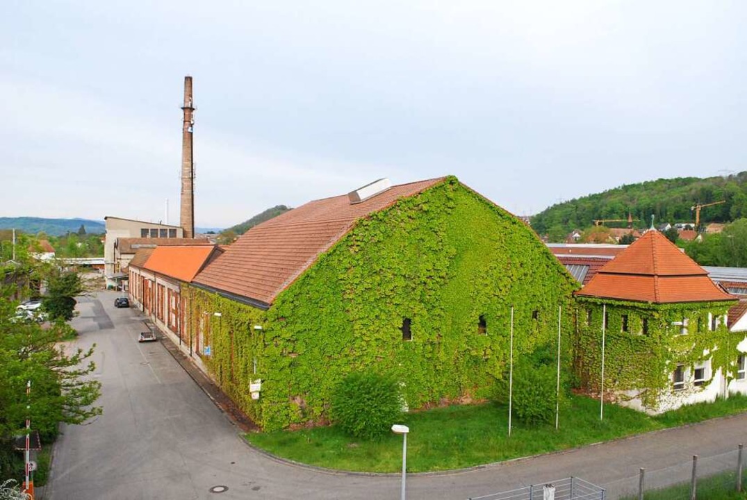 Das Lauffenmühle-Areal in Lörrach: erhalten oder abreißen?  | Foto: Thomas Loisl Mink