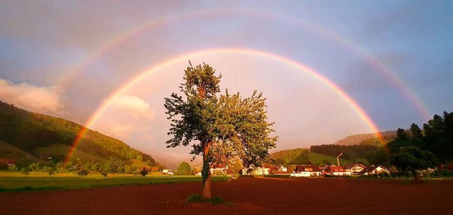 Doppelter Regenbogen.  | Foto: Karsten Benthlin