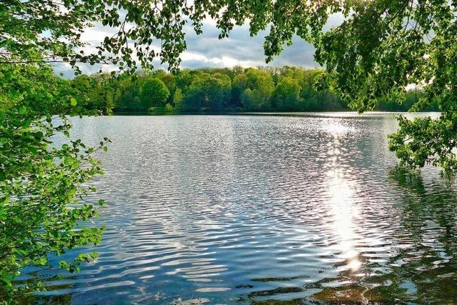 Es grnt so grn am Moosweiher im Freiburger Stadtteil Landwasser