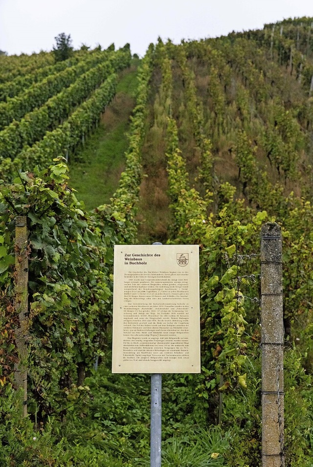 Der 25 Jahre alte Weinlehrpfad ist in ...re gekommen und soll erneuert werden.   | Foto: Gabriele Zahn