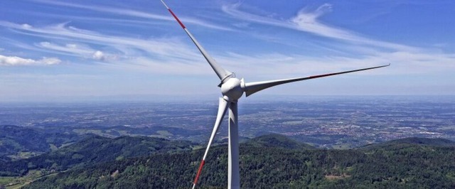 Abgesehen vom AfD-Kandidaten drngen die andern auf mehr Tempo beim Klimaschutz.  | Foto: Peter Heck