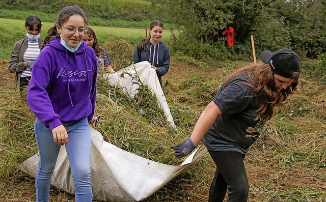 Die Schlerinnen und Schler schufen Platz fr Orchideen.  | Foto: Sandra Decoux-Kone