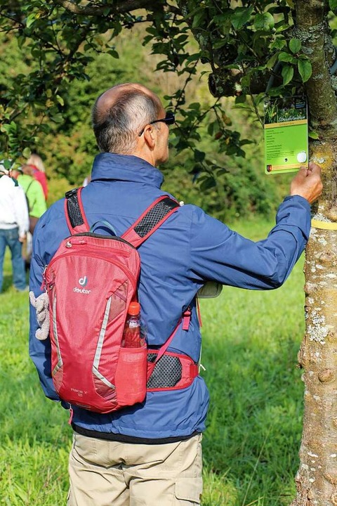 Erkundung auf der Streuobstwiese  | Foto: Ruth Seitz