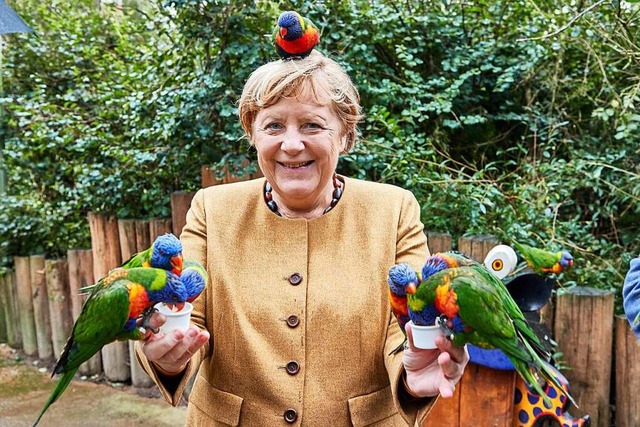 Bundeskanzlerin Angela Merkel fttert australische Loris im Vogelpark Marlow  | Foto: Georg Wendt (dpa)