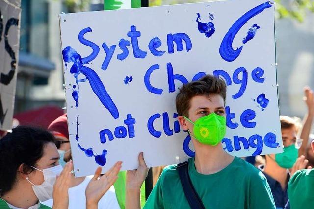 Fotos: Fr Fridays For Future ziehen 12.000 Menschen durch Freiburg