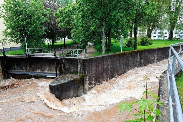 Mllheim arbeitet umfangreichen Manahmenkatalog zum Hochwasserschutz ab