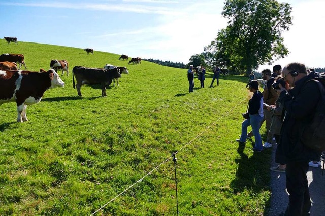Franzsische Landwirte informieren sic...heimische Rinderasse der Vorderwlder.  | Foto: Ralf Morys
