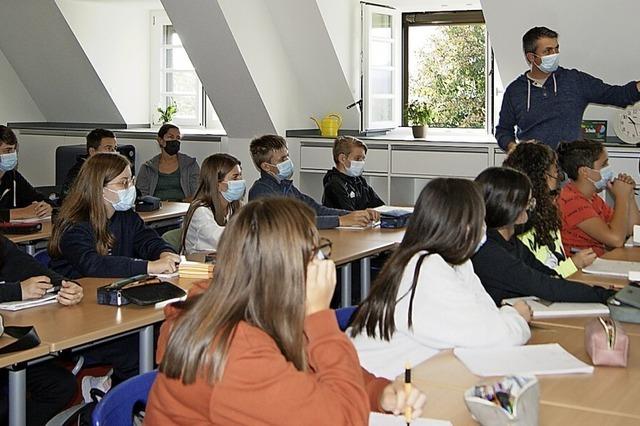 Schler wollen ein Klassenzimmer im Wald bauen