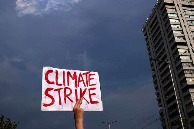 Fotos: Fridays for Future – Umweltaktivisten protestieren weltweit