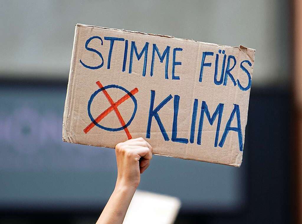 Diesen Freitag finden – wie hier in Kln – weltweite Demonstrationen fr den Klimaschutz statt.