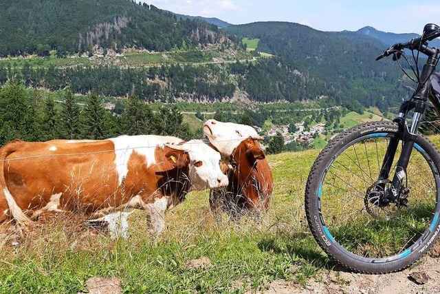 Interview: Mit den E-Bikes wollen viele auch �fter nach oben