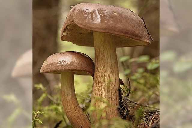 Noch bedingt strahlend