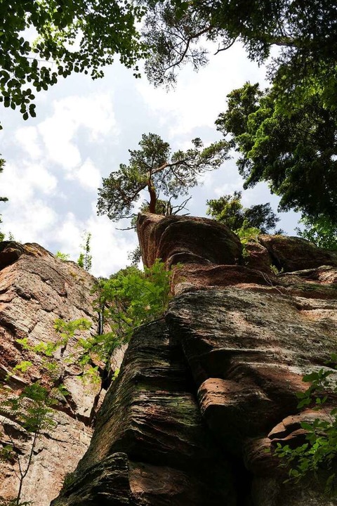 Gigantisch: Manche der Rochers des Géa...esenfelsen, sind bis zu 30 Meter hoch.  | Foto: Silke Kohlmann