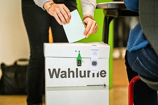 13 Kandidaten treten im Wahlkreis Lrrach-Mllheim an