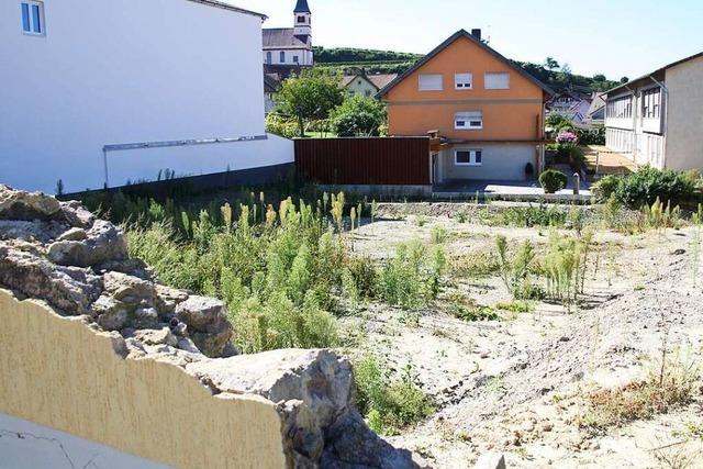 Mehrere Konzepte fr Wohnungsbau im Winzerdorf