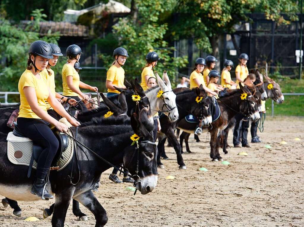 Eselfest auf dem Mundenhof