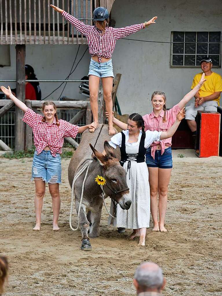 Eselfest auf dem Mundenhof