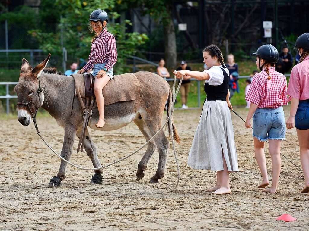 Eselfest auf dem Mundenhof