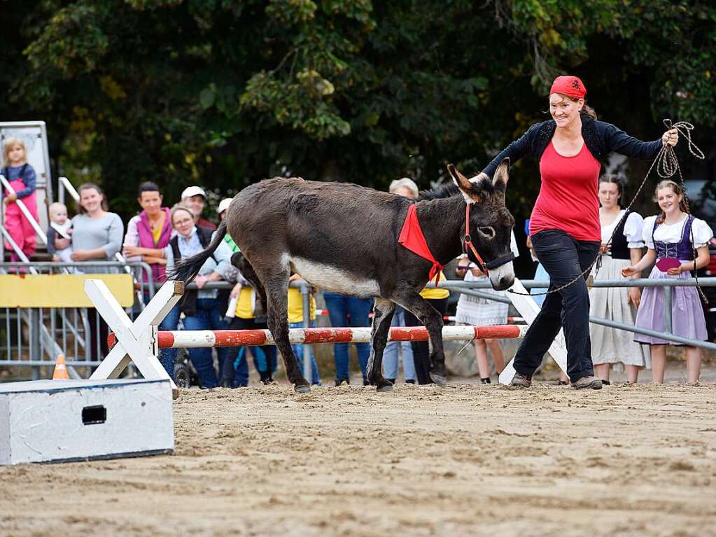 Eselfest auf dem Mundenhof