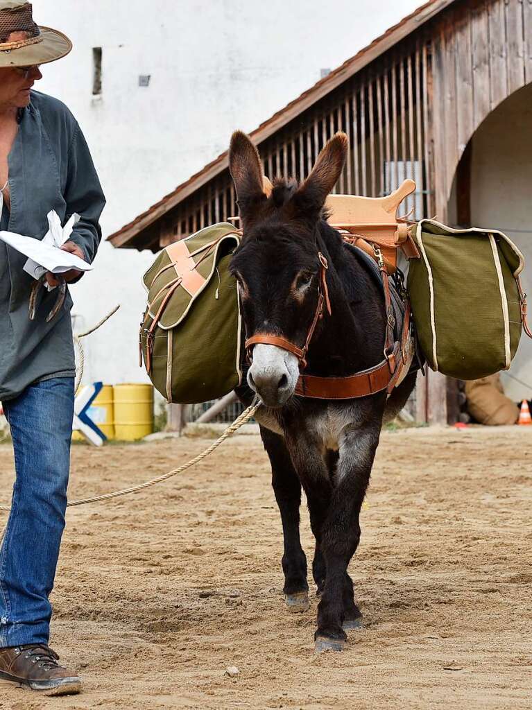 Eselfest auf dem Mundenhof